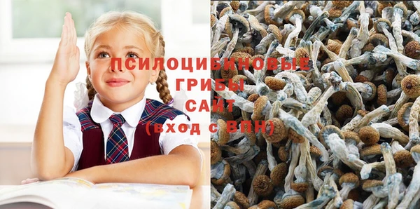 МДПВ Абдулино