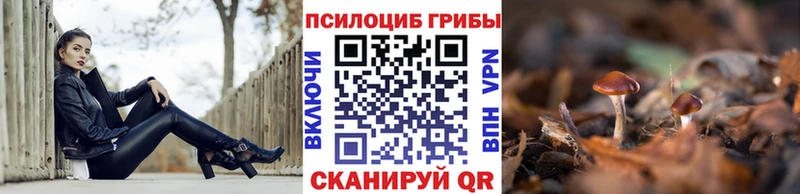 Галлюциногенные грибы GOLDEN TEACHER  Камень-на-Оби 